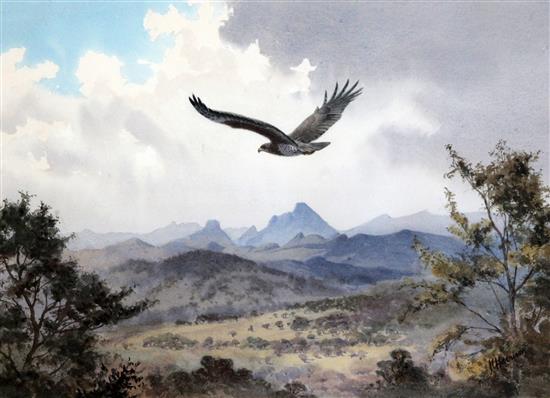 John Cyril Harrison (1898-1985) Martial Eagle, Umtali dry season 13 x 18.75in.